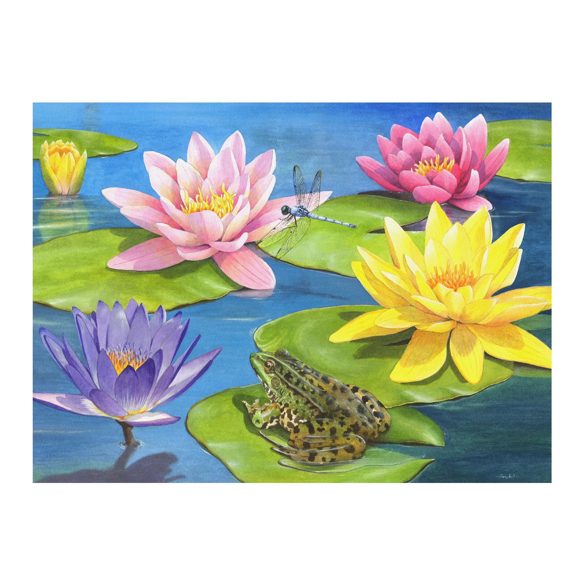13 Piece Jigsaw Puzzle - Lily Pond - VAT Free