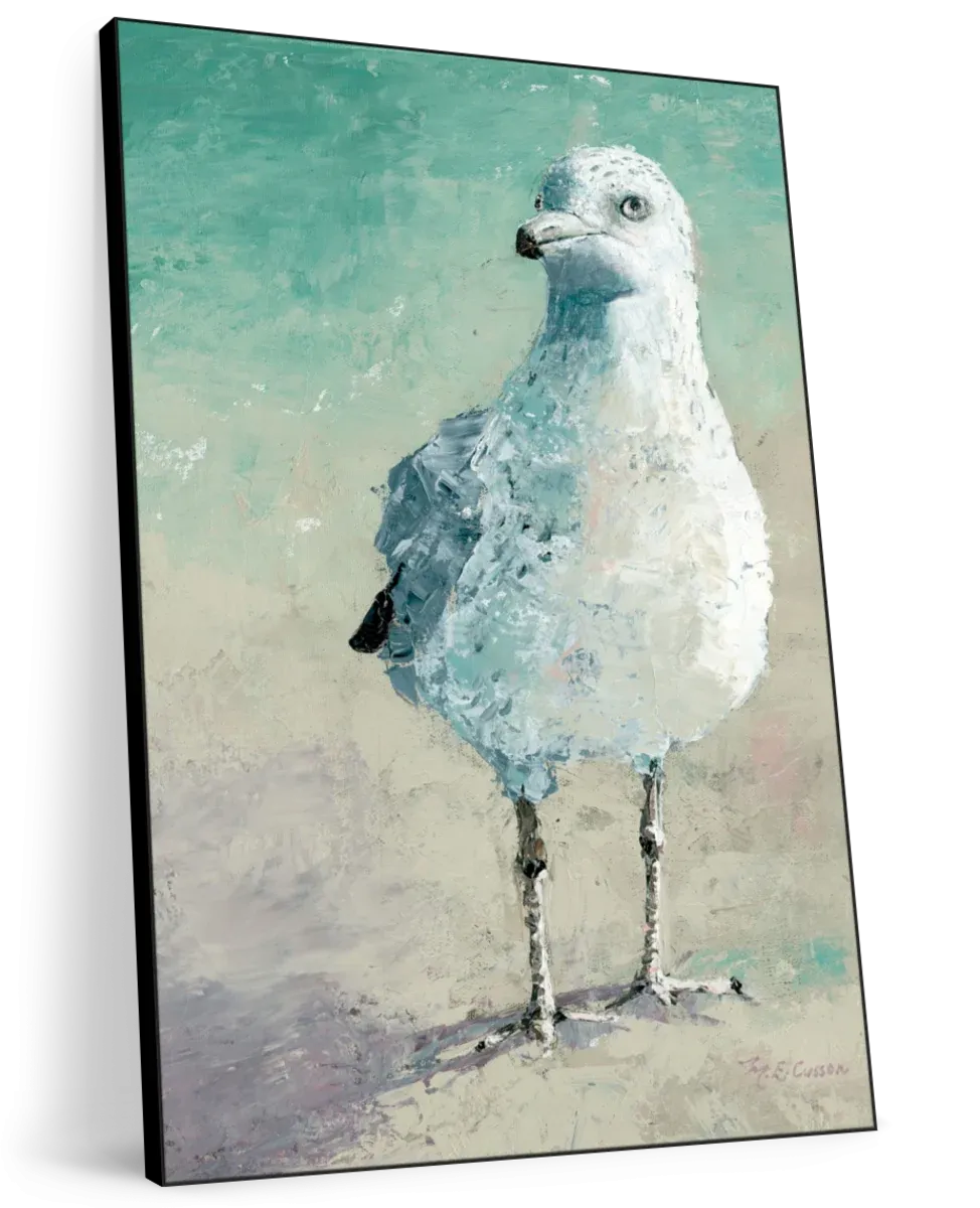 A Beach Bird II Wall Art