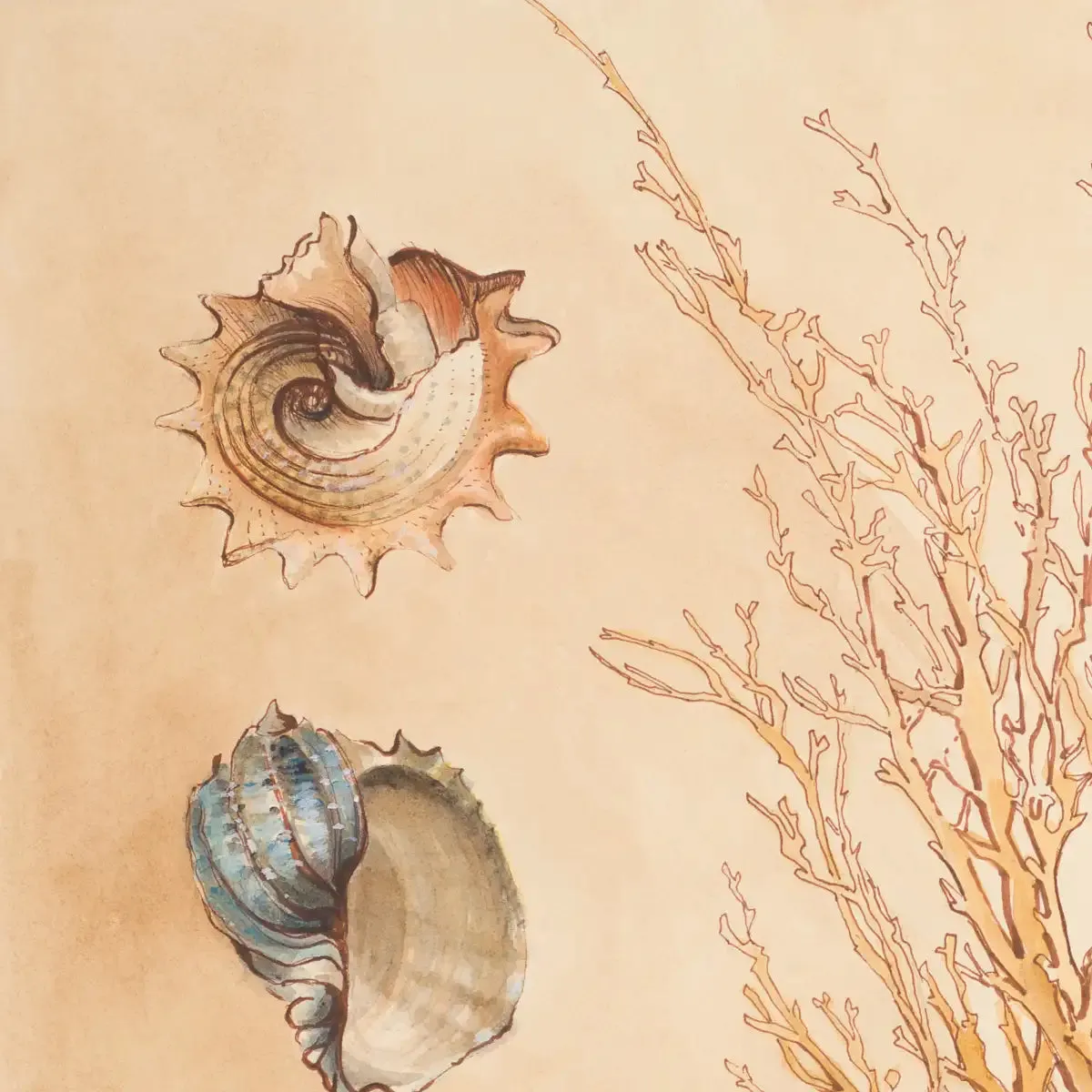 A Coral Medley II Wall Art