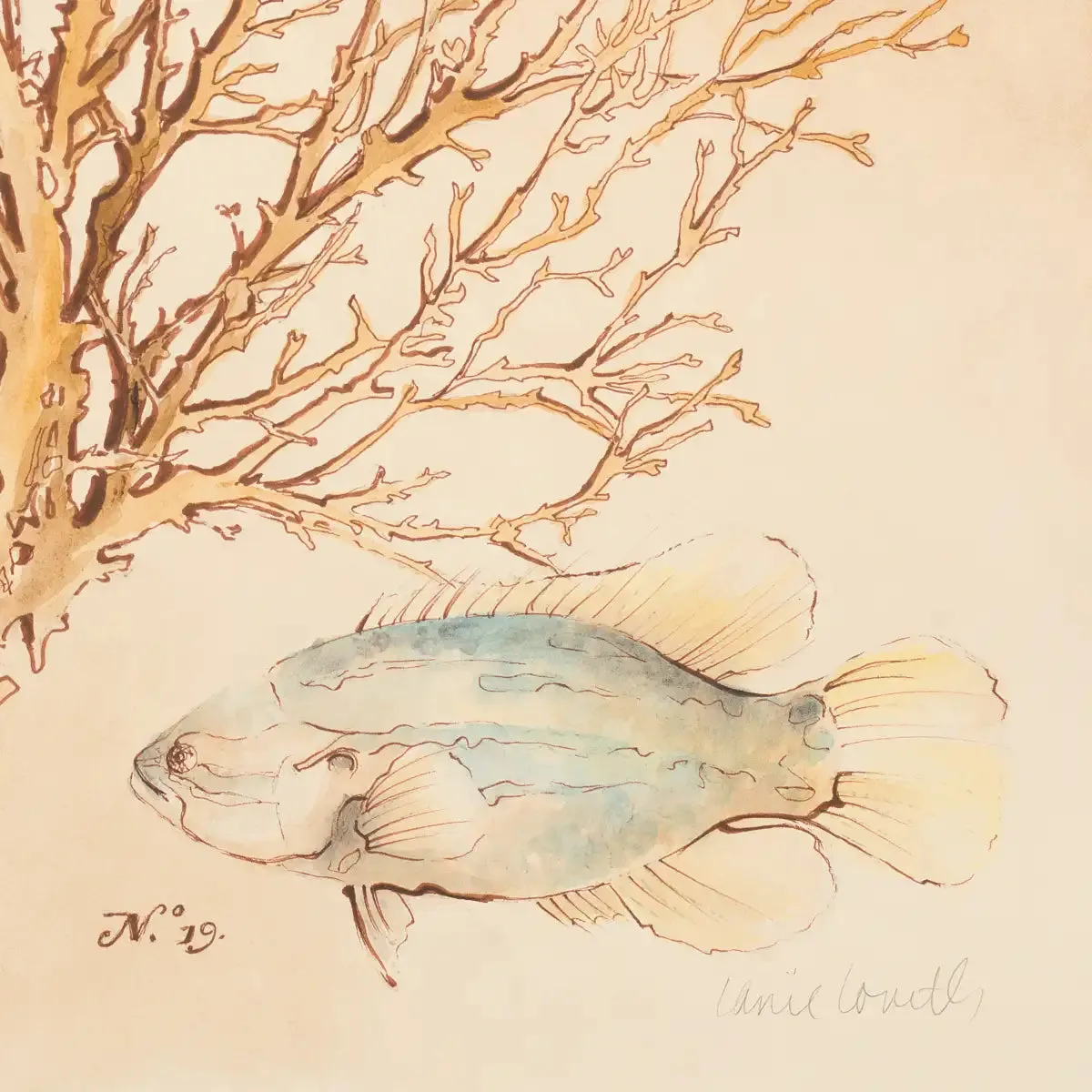 A Coral Medley II Wall Art
