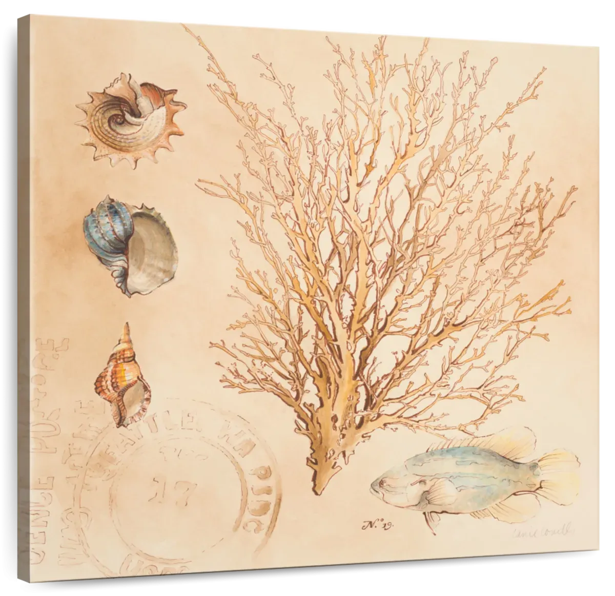 A Coral Medley II Wall Art