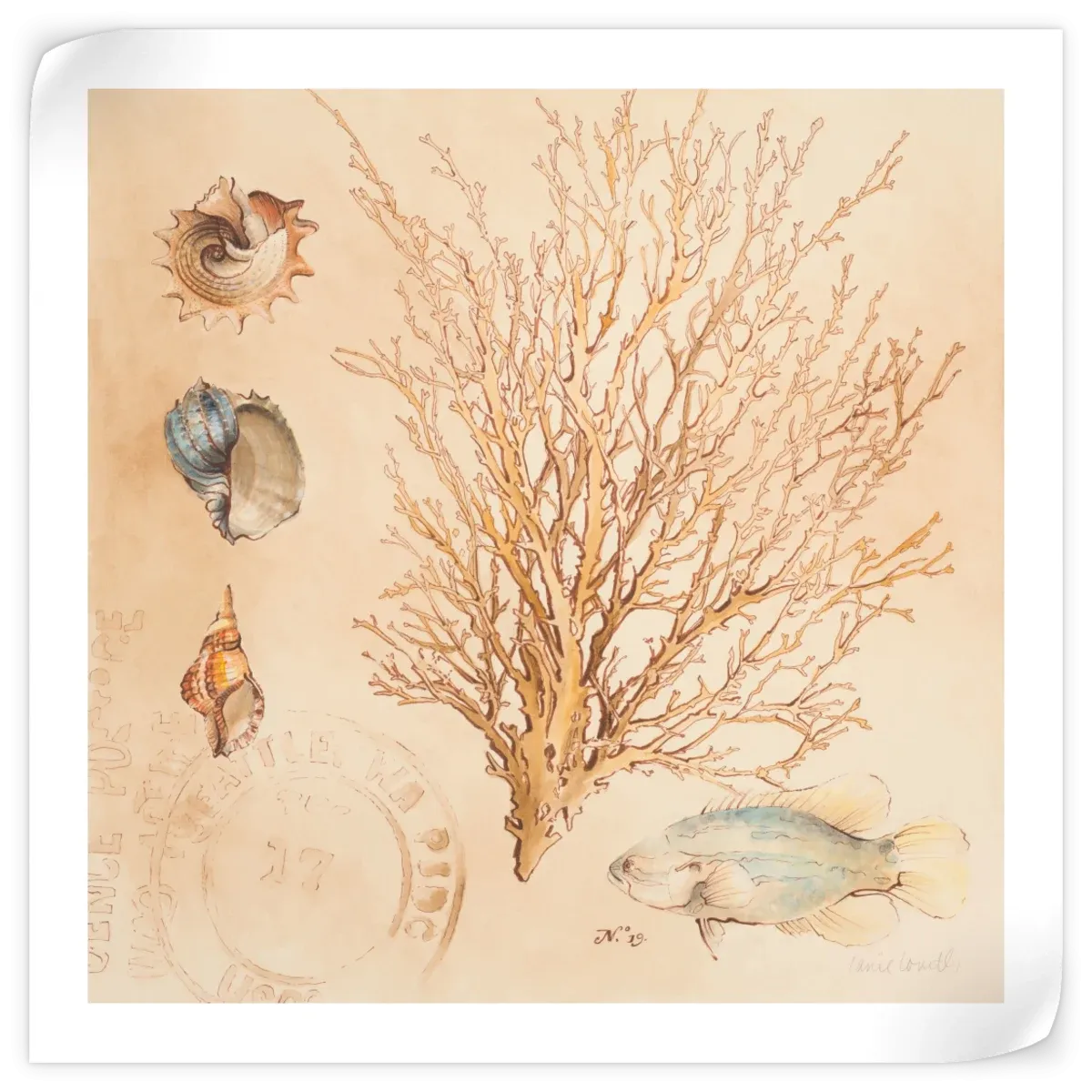 A Coral Medley II Wall Art