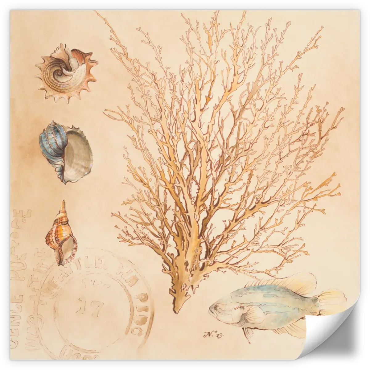 A Coral Medley II Wall Art