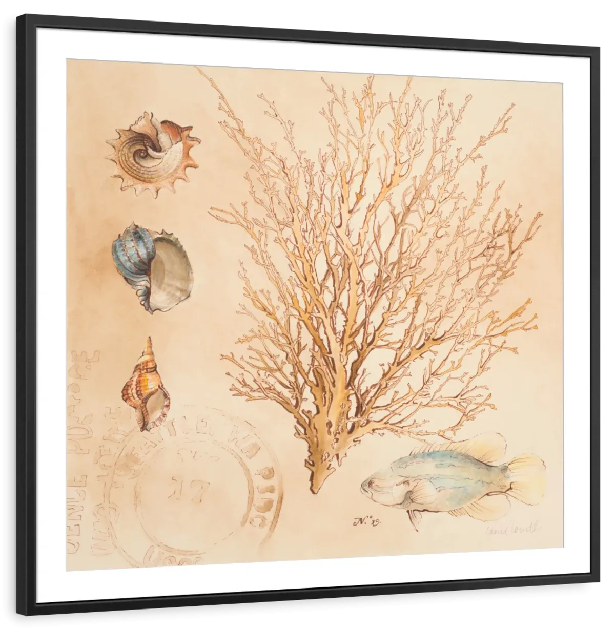 A Coral Medley II Wall Art