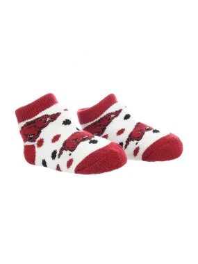 Arkansas Razorbacks Toddler Socks Low Cut Little Fan