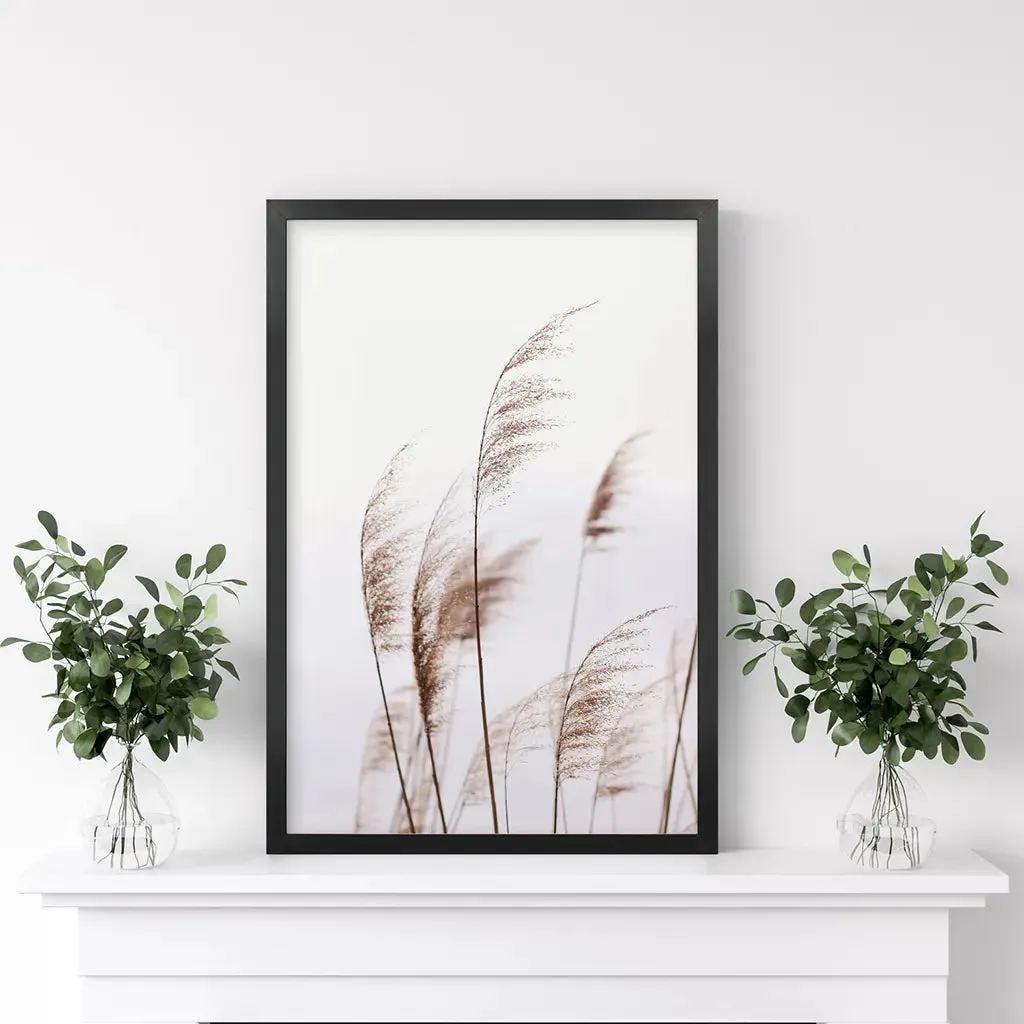 Beige Dried Grass Print. Summer Field