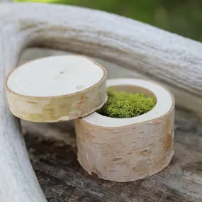 Birch Wood Box - Plain