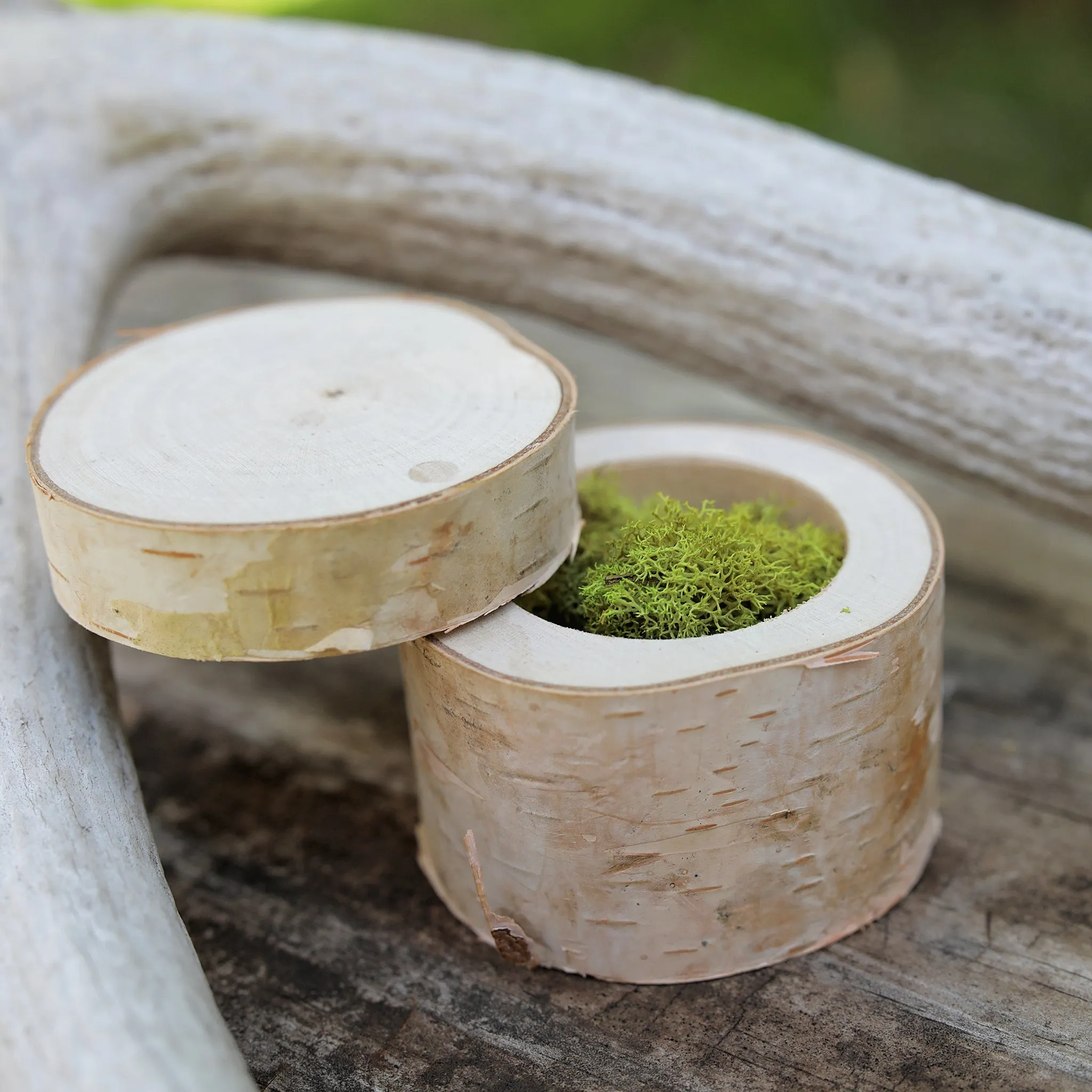 Birch Wood Box - Plain