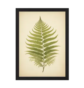 Fern Art Print
