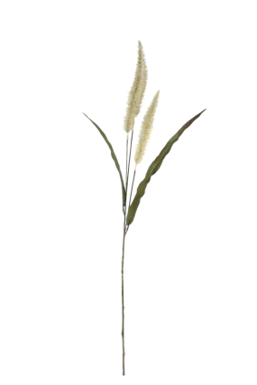 Fountain Grass Cream