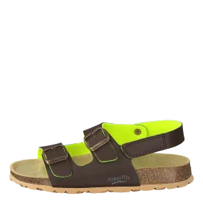 Korkis Brown
