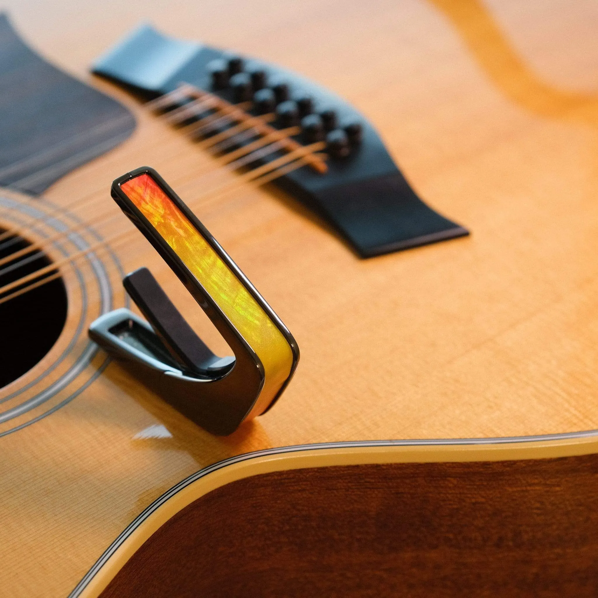 Sunrise Shell | Deluxe Capo